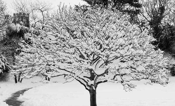 photo of snowy Kingsnorth Gardens, Folkestone, Kent